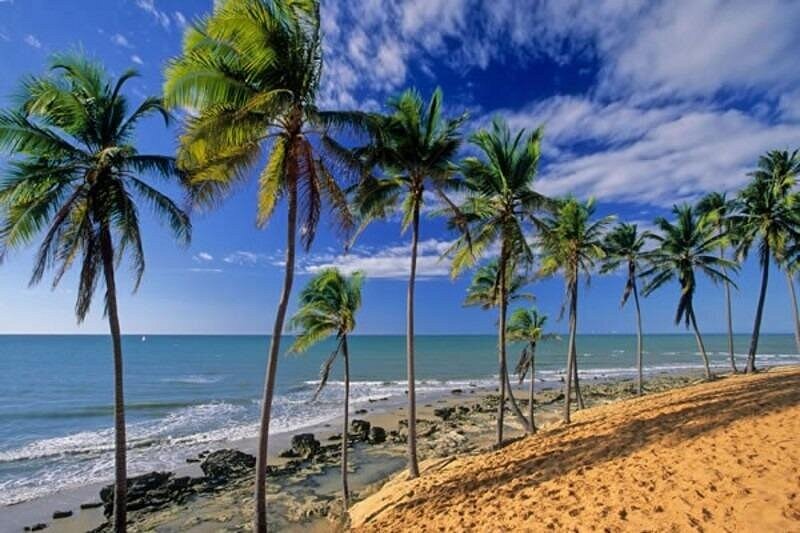Wave Hello to Paradise: Discover Fortaleza’s Best Beaches